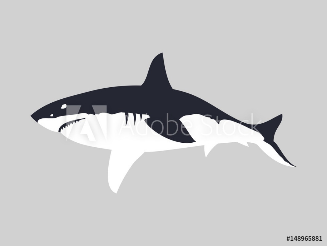 Afbeeldingen van Great white shark vector illustration